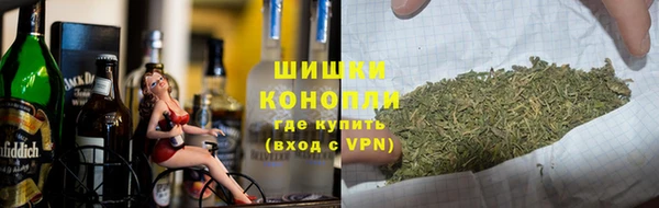 прущие грибы Арсеньев