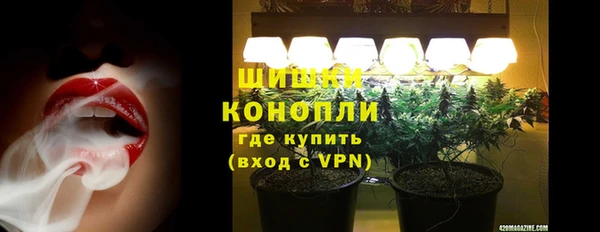 прущие грибы Арсеньев