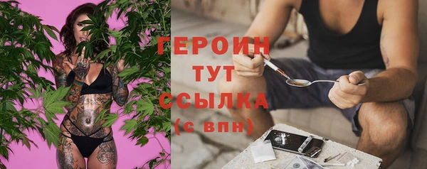 прущие грибы Арсеньев