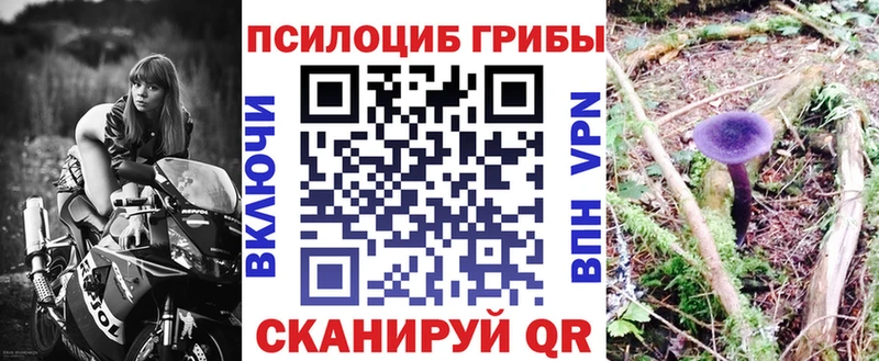 Псилоцибиновые грибы MAGIC MUSHROOMS Королёв