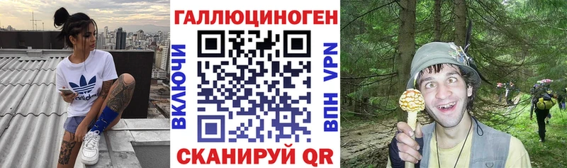 наркотики  Королёв  Галлюциногенные грибы прущие грибы 